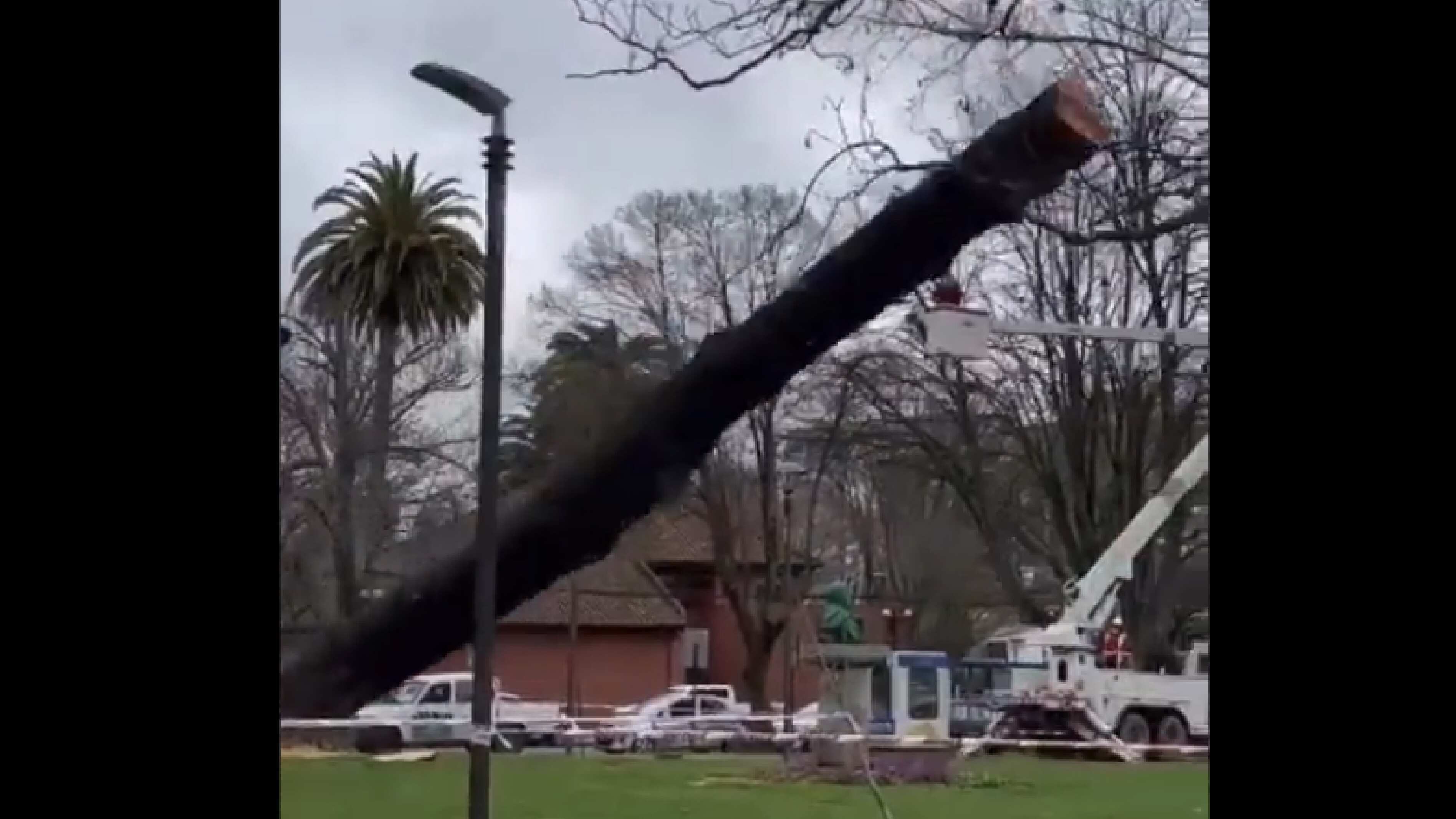 La empresa dio su punto de vista.