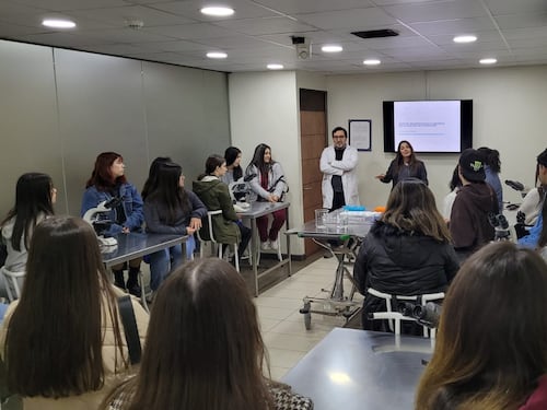 ¿Todavía no sabes qué estudiar? Universidad tendrá talleres prácticos y experiencias inmersivas en jornada vocacional gratuita para escolares