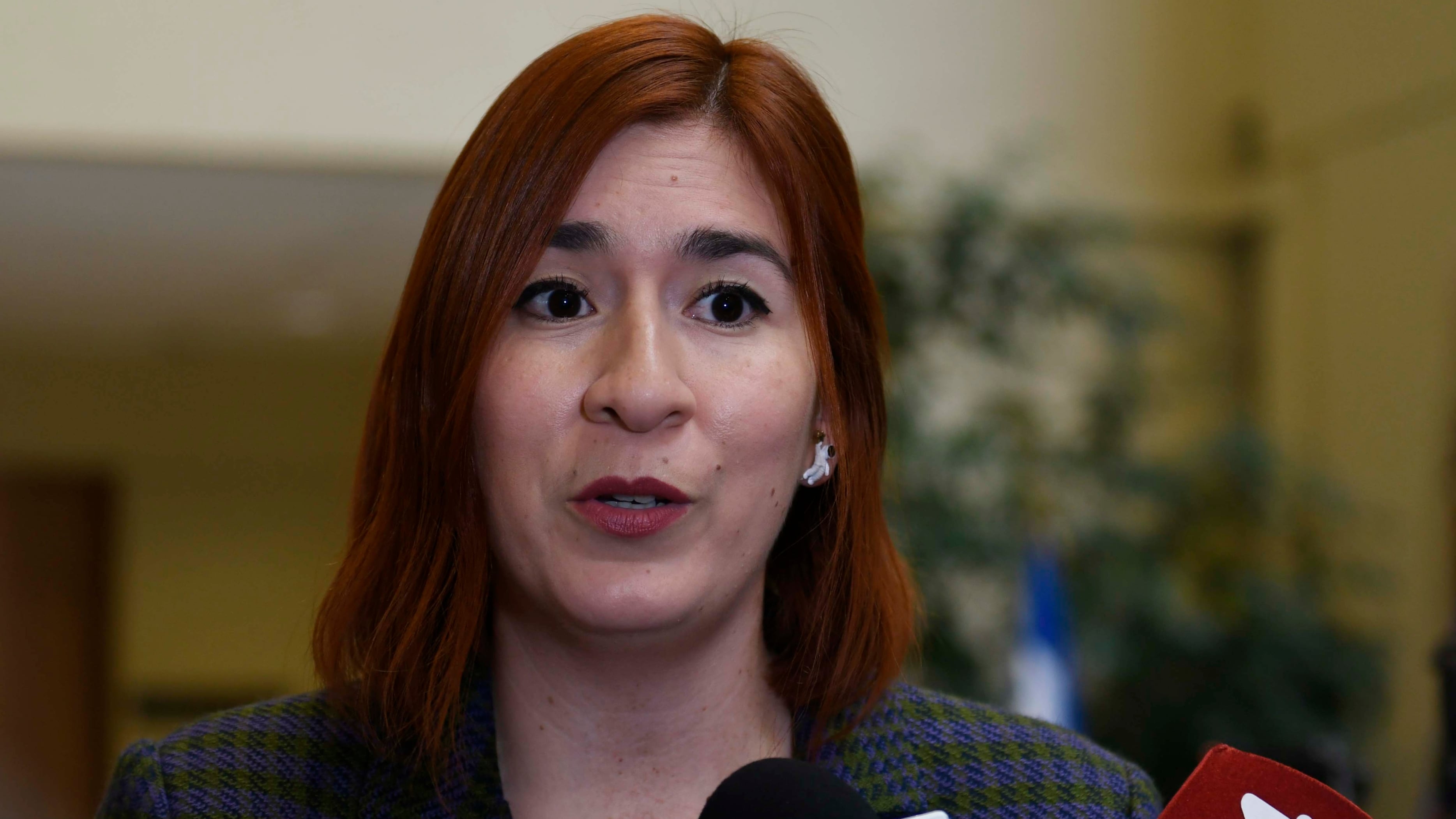 La diputada es investigada por la Fiscalía de Antofagasta en una causa por el delito de aborto.