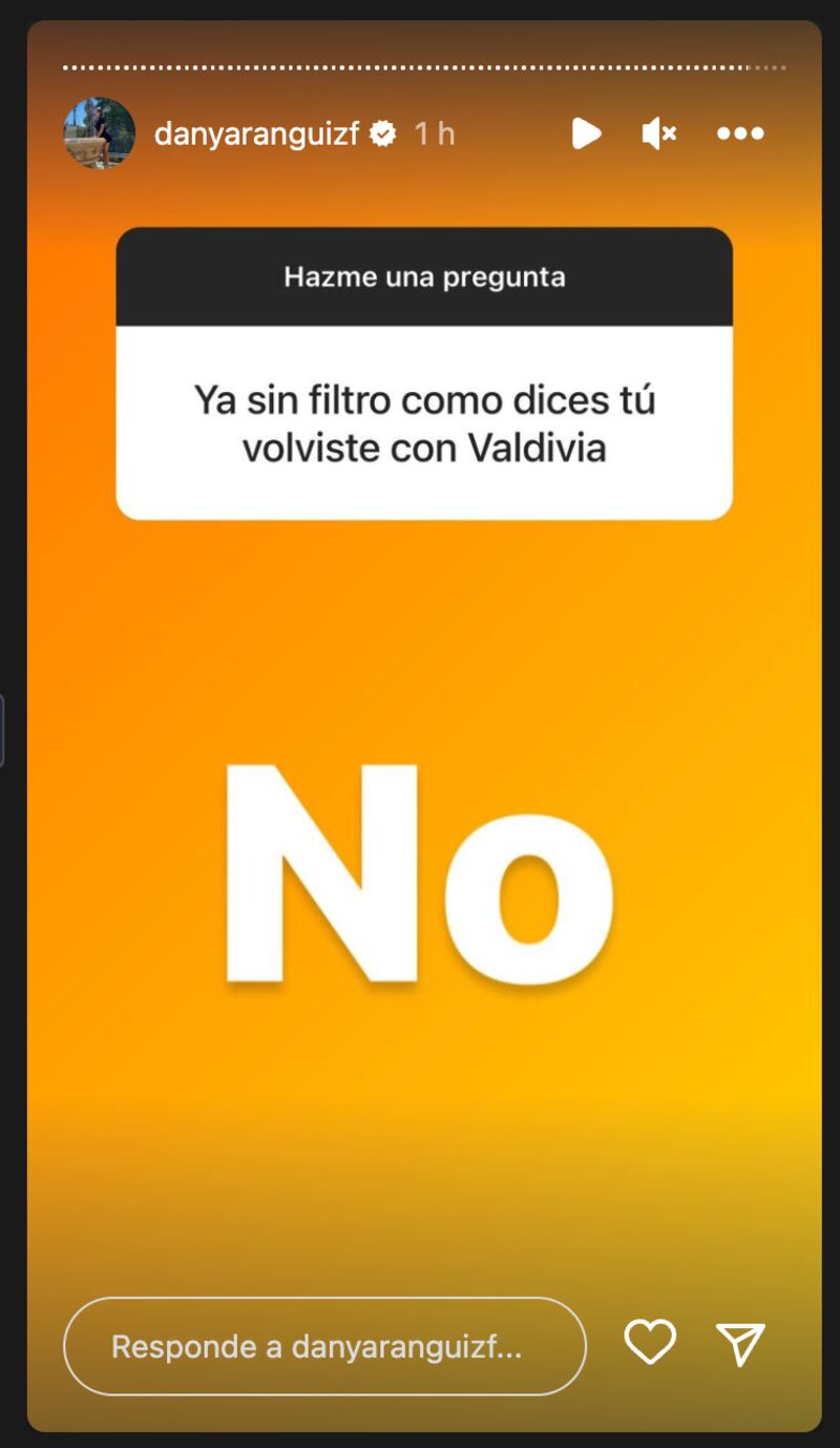 Historias de Daniela Aránguiz | Fuente: Instagram