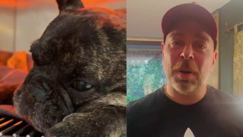 Instagram José Antonio Neme y su perrito Duque