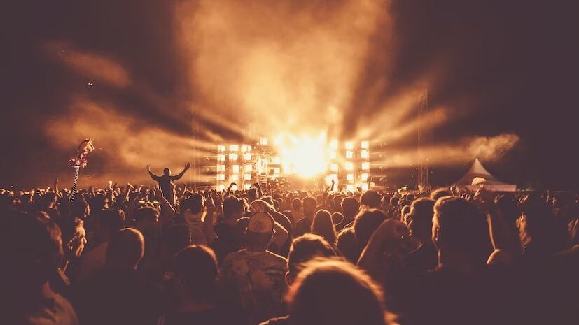 Se pueden hallar cosas sorprendentes