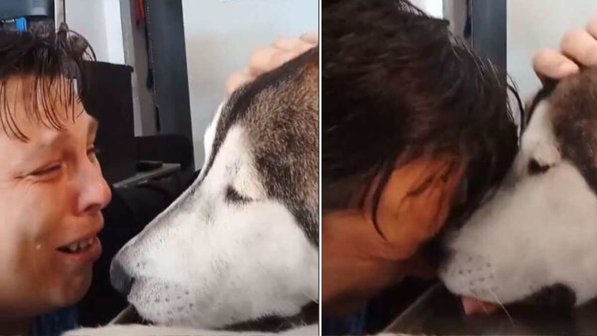 Hombre despidiéndose de su perro fallecido