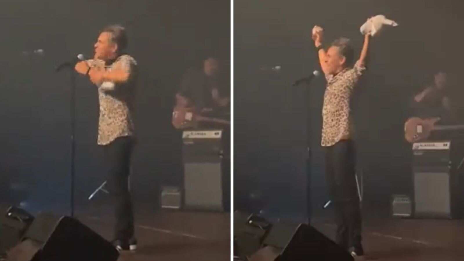 “Lo odio”: Vocalista de Café Tacvba decapitó peluche del Dr. Simi que le lanzaron al escenario