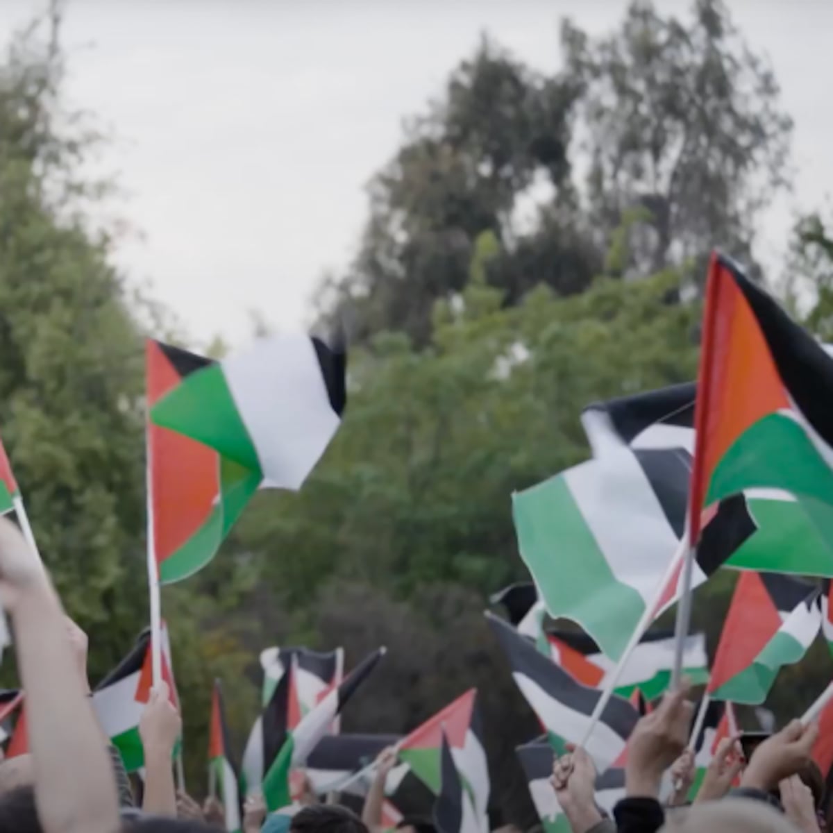Evacuación de 68 ciudadanos de Palestina por genocidio en Gaza Evacuación de 68 ciudadanos de Palestina por genocidio en Gaza