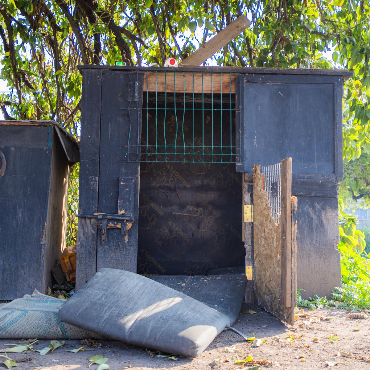 Alcalde de Peñalolén lidera demolición de canódromo ilegal Alcalde de Peñalolén lidera demolición de canódromo ilegal