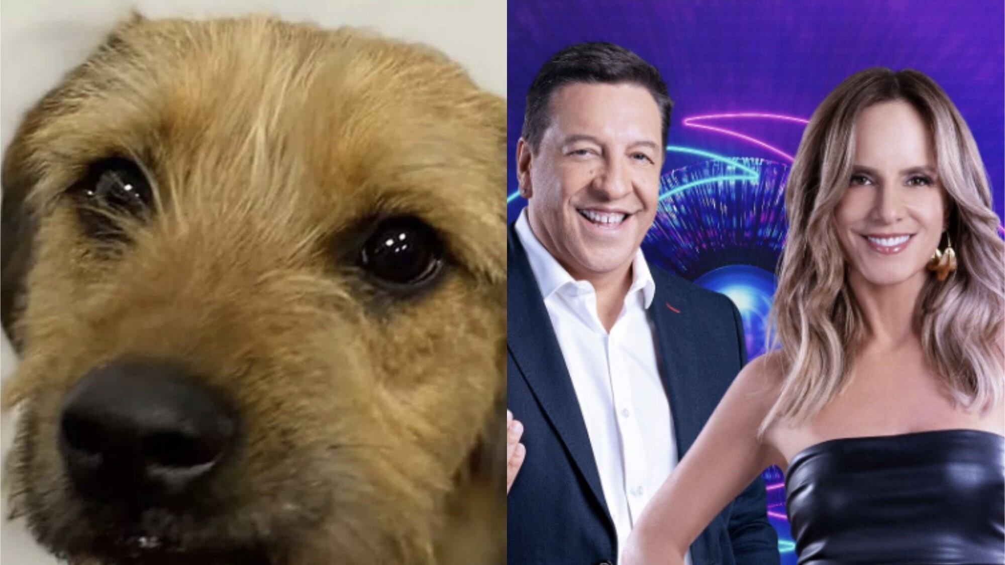 Bigote de "Gran Hermano" | Captura