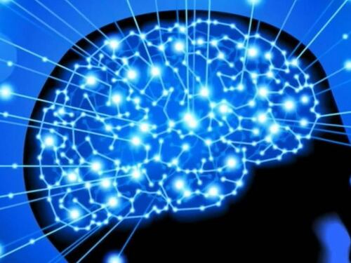 Estudio revela que nuestro cerebro sigue consciente aun estando “muertos”