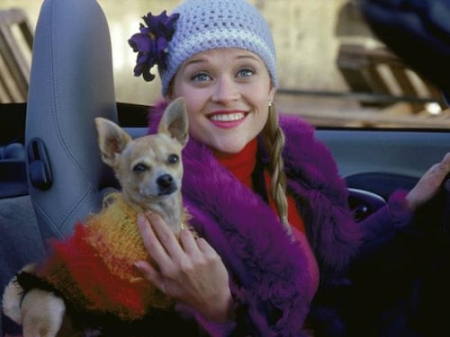 Revelan la actriz que interpretará a una joven Elle Woods en la precuela de ‘Legalmente Rubia’