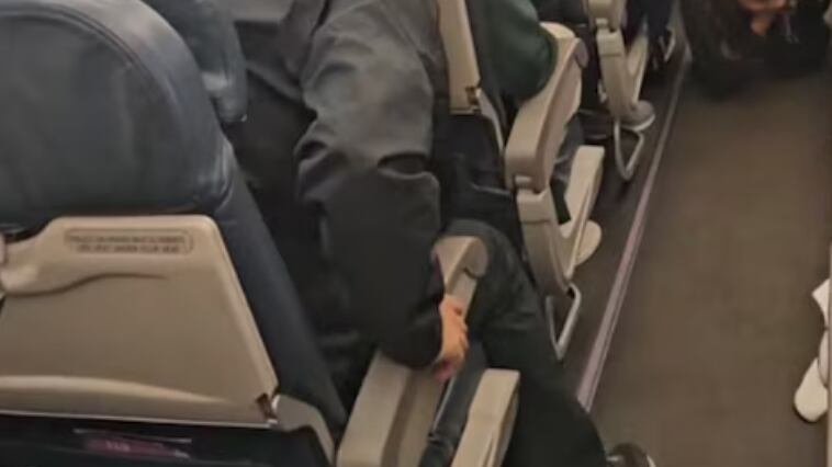 Hámster se escapó en avión