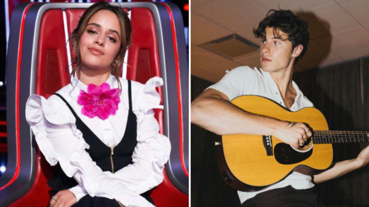 Camila Cabello y Shawn Mendes se separaron en noviembre de 2021.