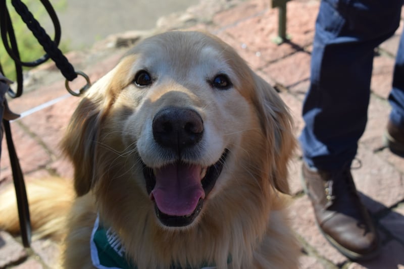 Su legado refuerza el valor del adiestramiento canino y la labor permanente del OS7 contra el tráfico de drogas.