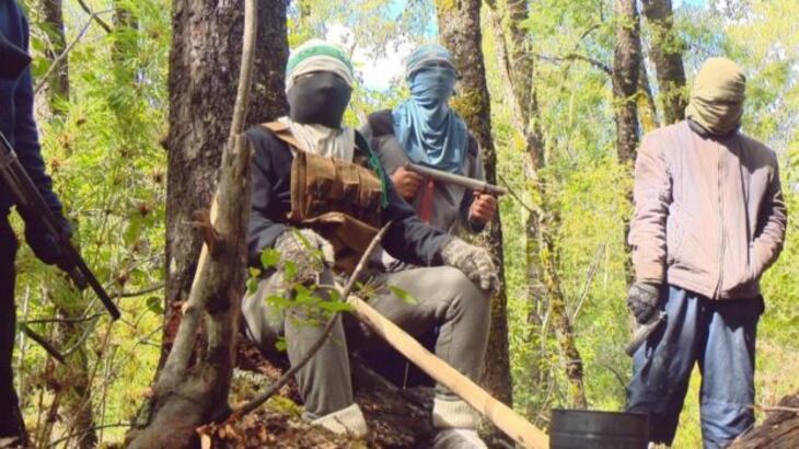 CAM y robo de madera: Es "reapropiación de recursos en territorio ancestral".