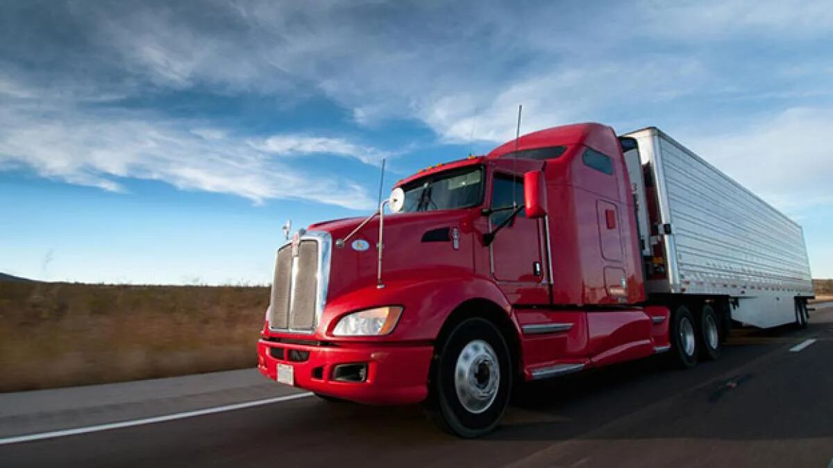 Increíble: Camionero fue multado por “rascarse la espalda con un tenedor”