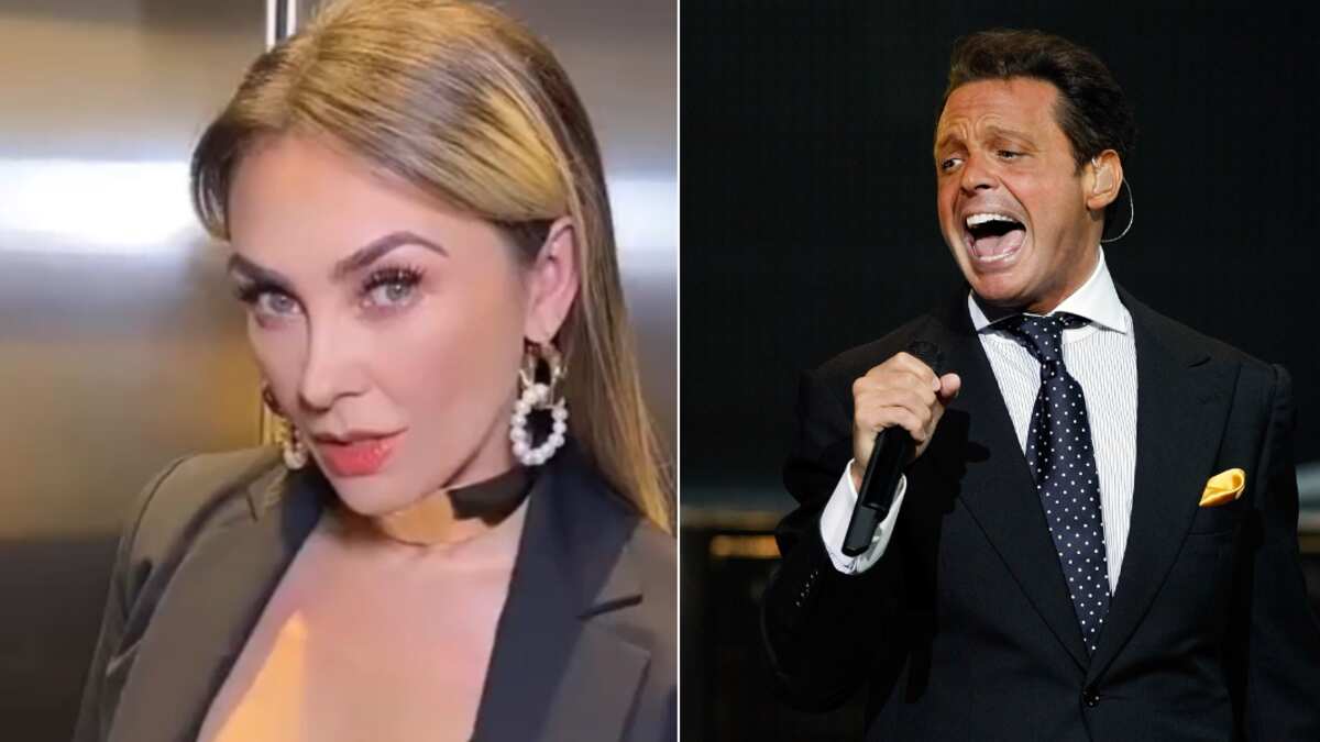 Aracely Arámbula / Luis Miguel