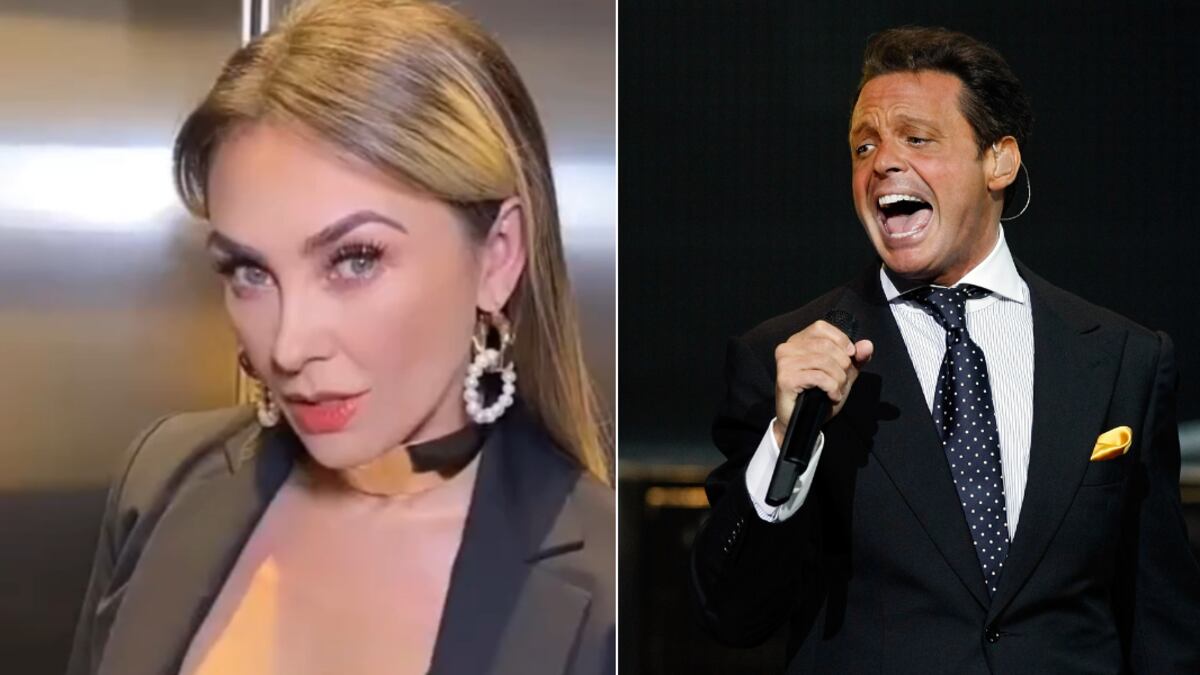 Aracely Arámbula / Luis Miguel