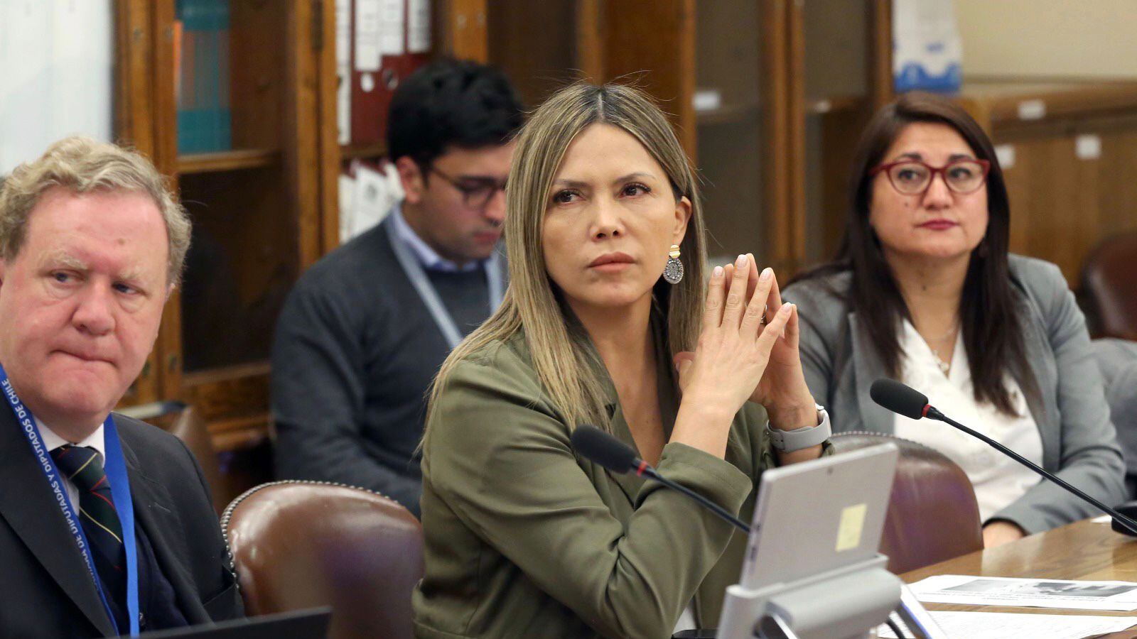 Diputada Marlene Pérez