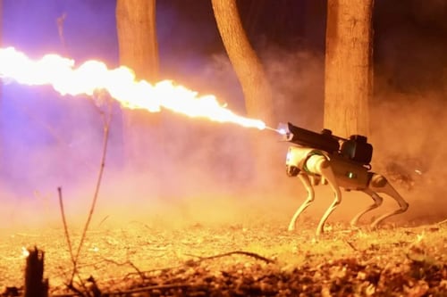 Thermonator: El perro robot lanzallamas que desata la polémica por sus peligros potenciales