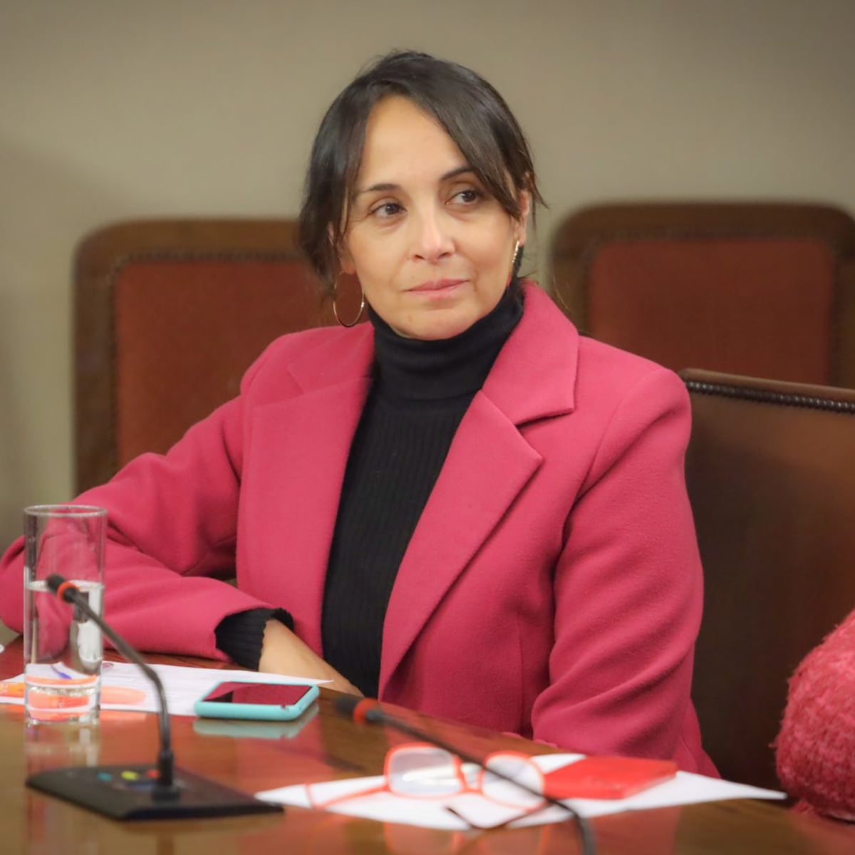 Propuesta de diputada: extender postnatal a un año para aumentar tasa de natalidad Propuesta de diputada: extender postnatal a un año para aumentar tasa de natalidad