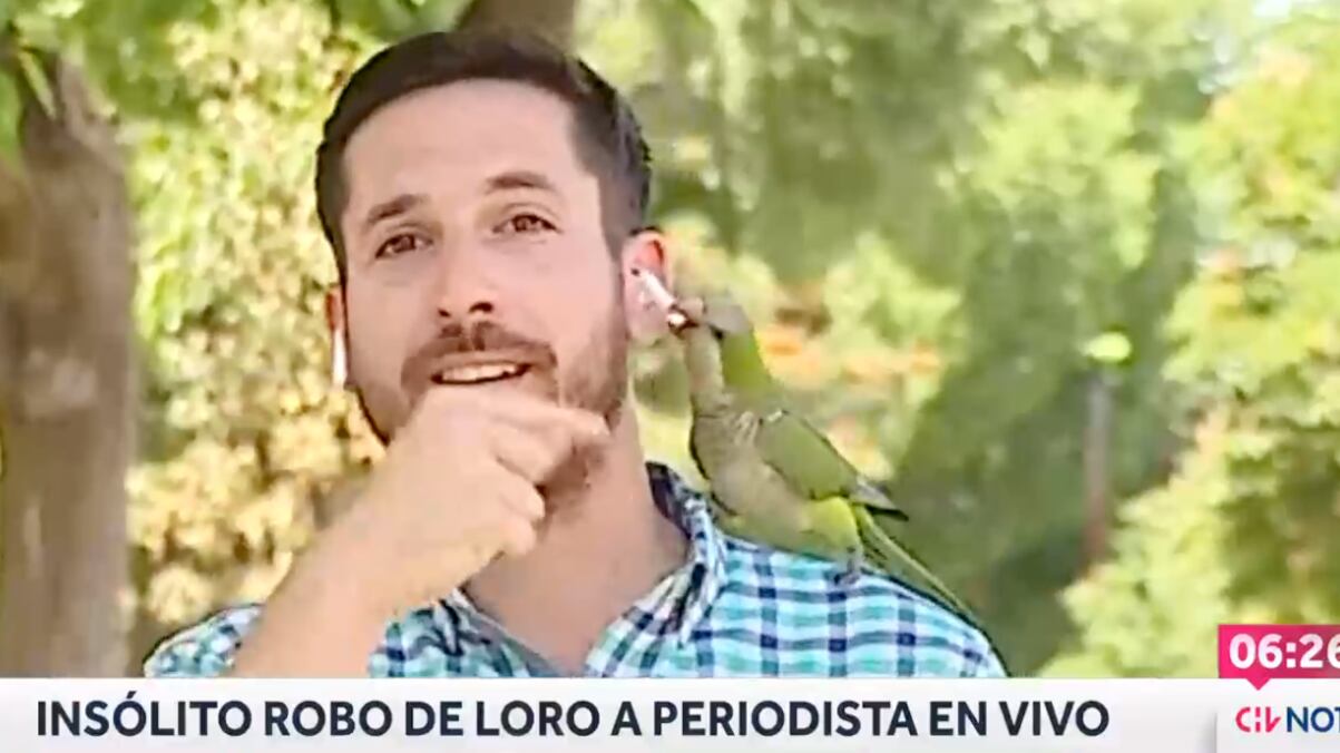 Loro robó a periodista