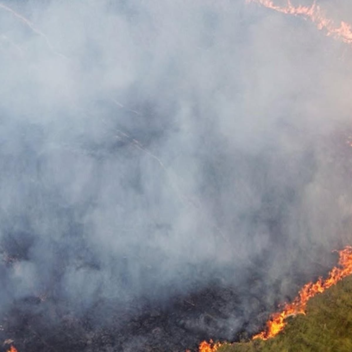 Megaincendio en la Patagonia de Argentina se extiende a Cochamó Megaincendio en la Patagonia de Argentina se extiende a Cochamó