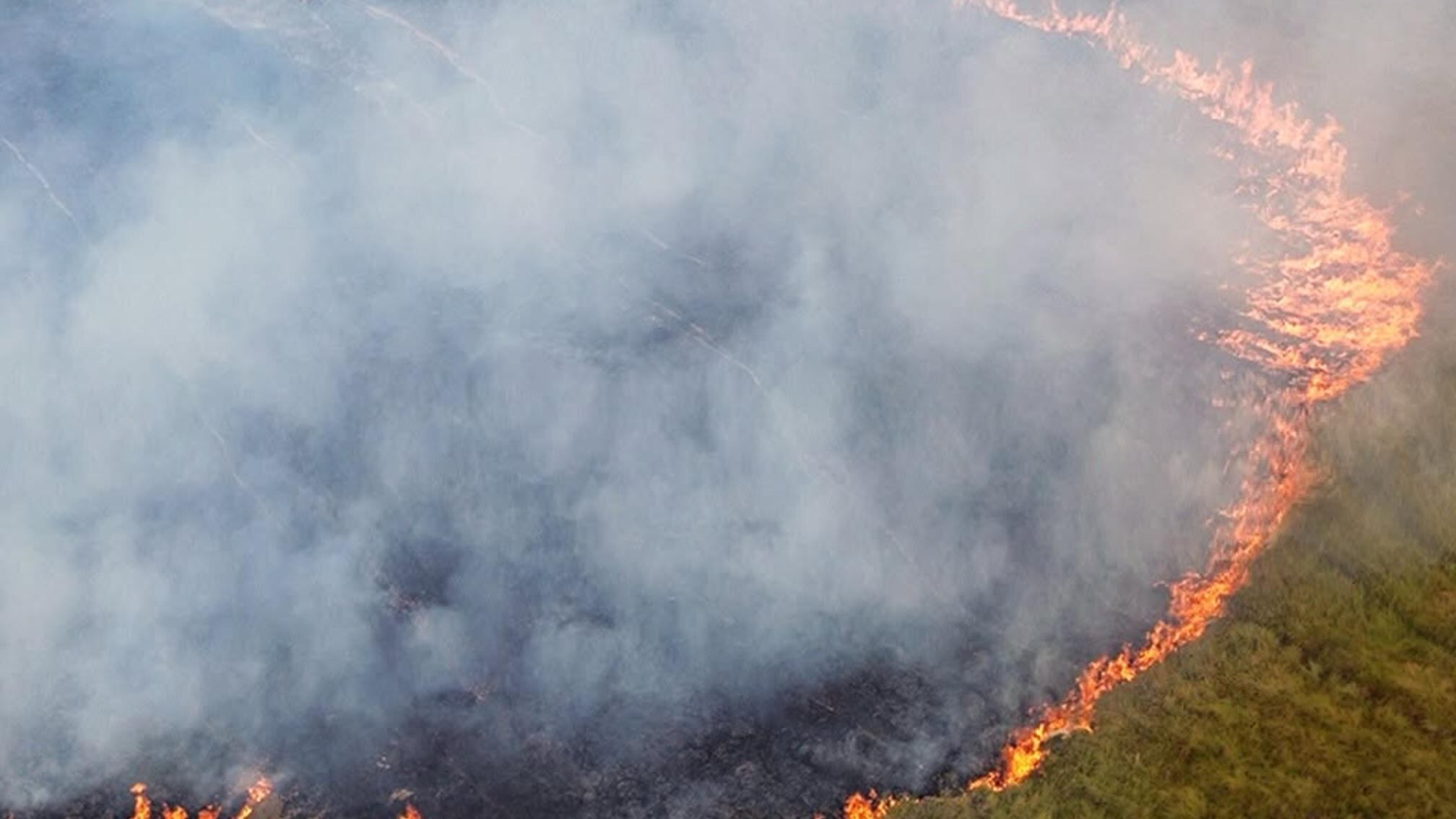 Megaincendio en la Patagonia Argentina llega a Chile