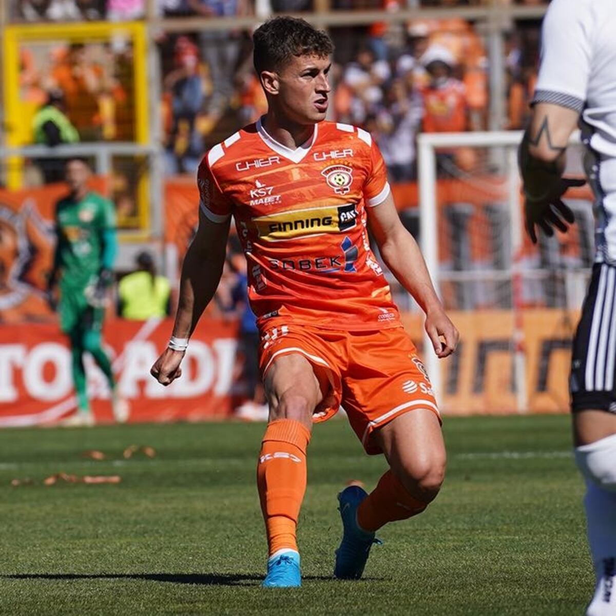 Detienen a comerciante por abuso en Cobreloa vs Colo Colo Detienen a comerciante por abuso en Cobreloa vs Colo Colo