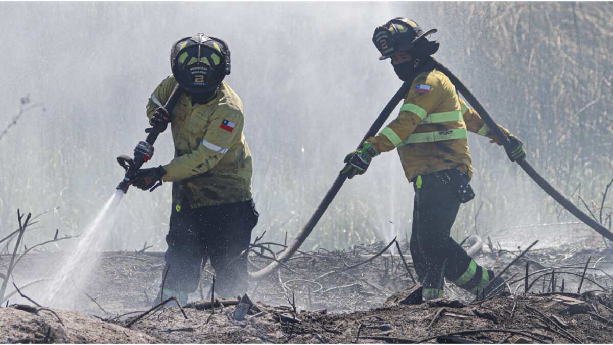 Incendios forestales