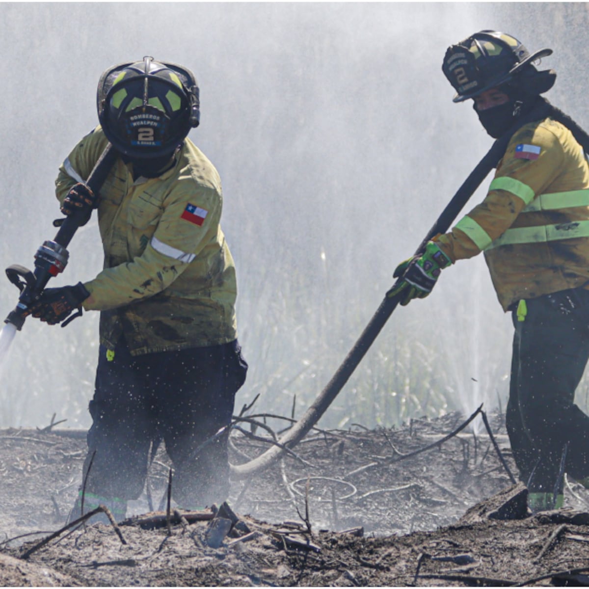 Detienen a cinco personas por incendios en La Araucanía Detienen a cinco personas por incendios en La Araucanía