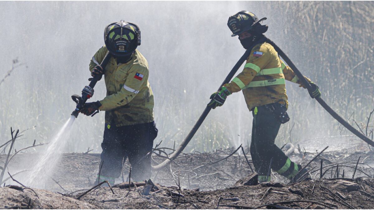 Incendios forestales