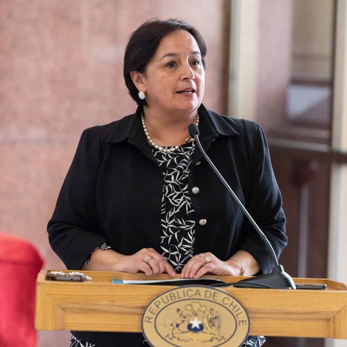 Senadora Aravena destaca reducción de plazo para funerales de alto riesgo Senadora Aravena destaca reducción de plazo para funerales de alto riesgo