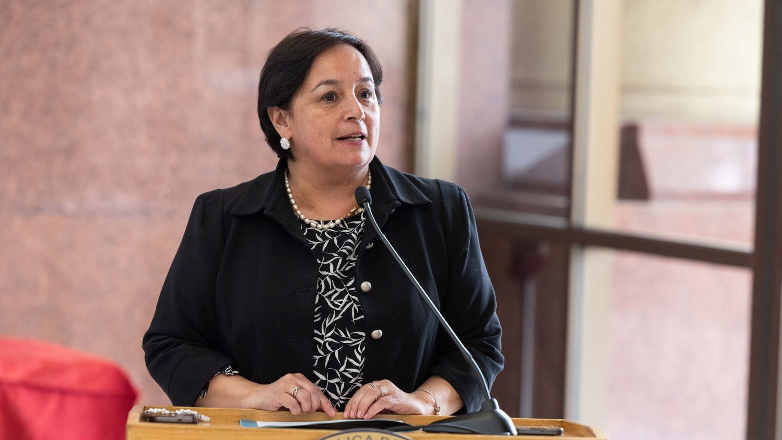 Senadora Republicana Carmen Gloria Aravena