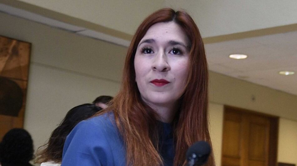 Diputada Catalina Pérez