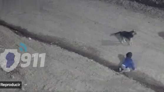 Rescatan a un bebé que gateaba solo por las calles en plena madrugada