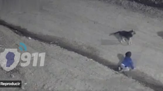 Rescatan a un bebé que gateaba solo por las calles en plena madrugada