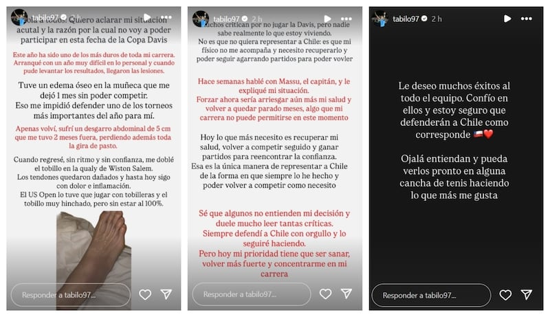 El zurdo chileno-canadiense justificó su marginación del equipo nacional de Copa Davis en motivos de salud.