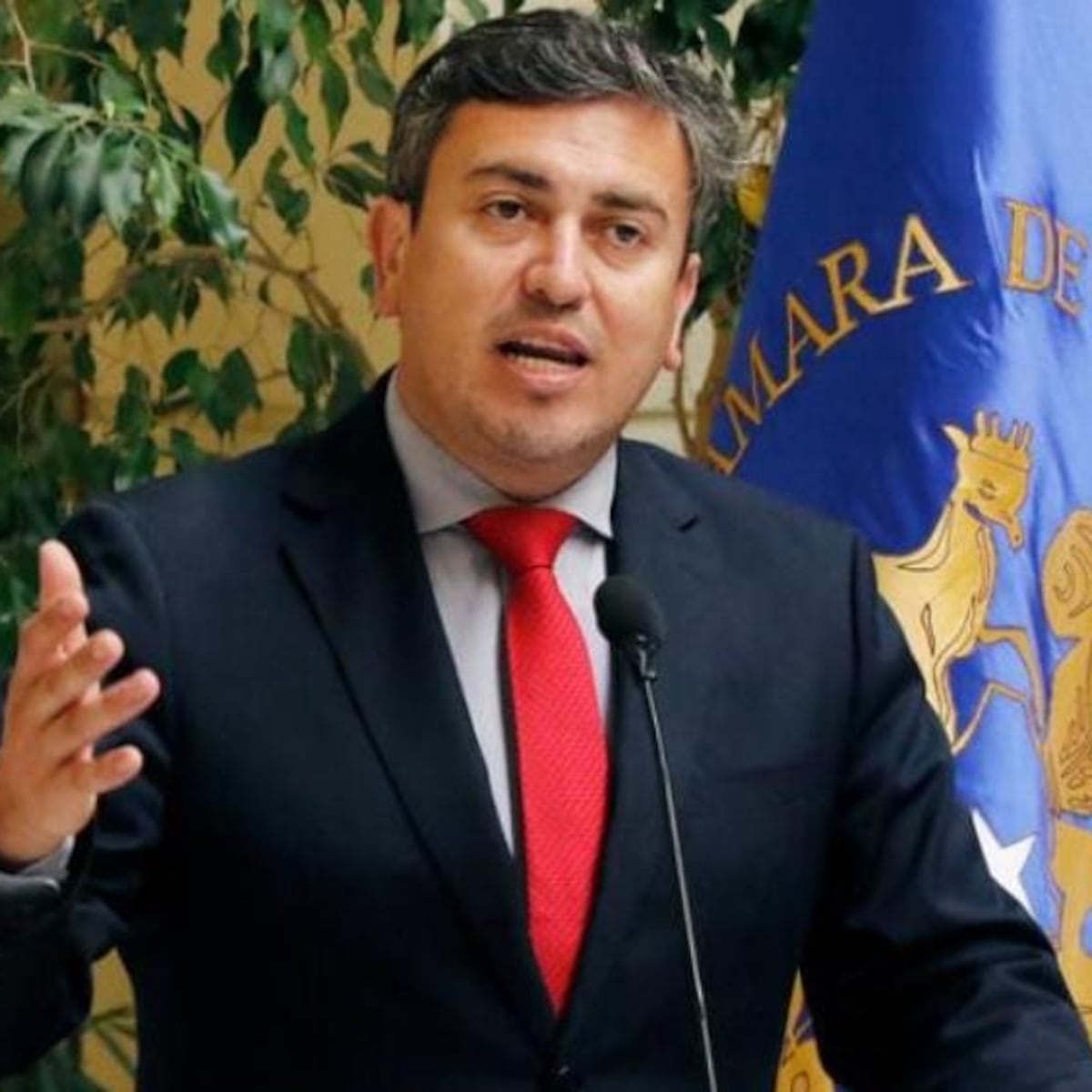 Corte Suprema confirma desafuero de diputado Ojeda por fraude al fisco Corte Suprema confirma desafuero de diputado Ojeda por fraude al fisco