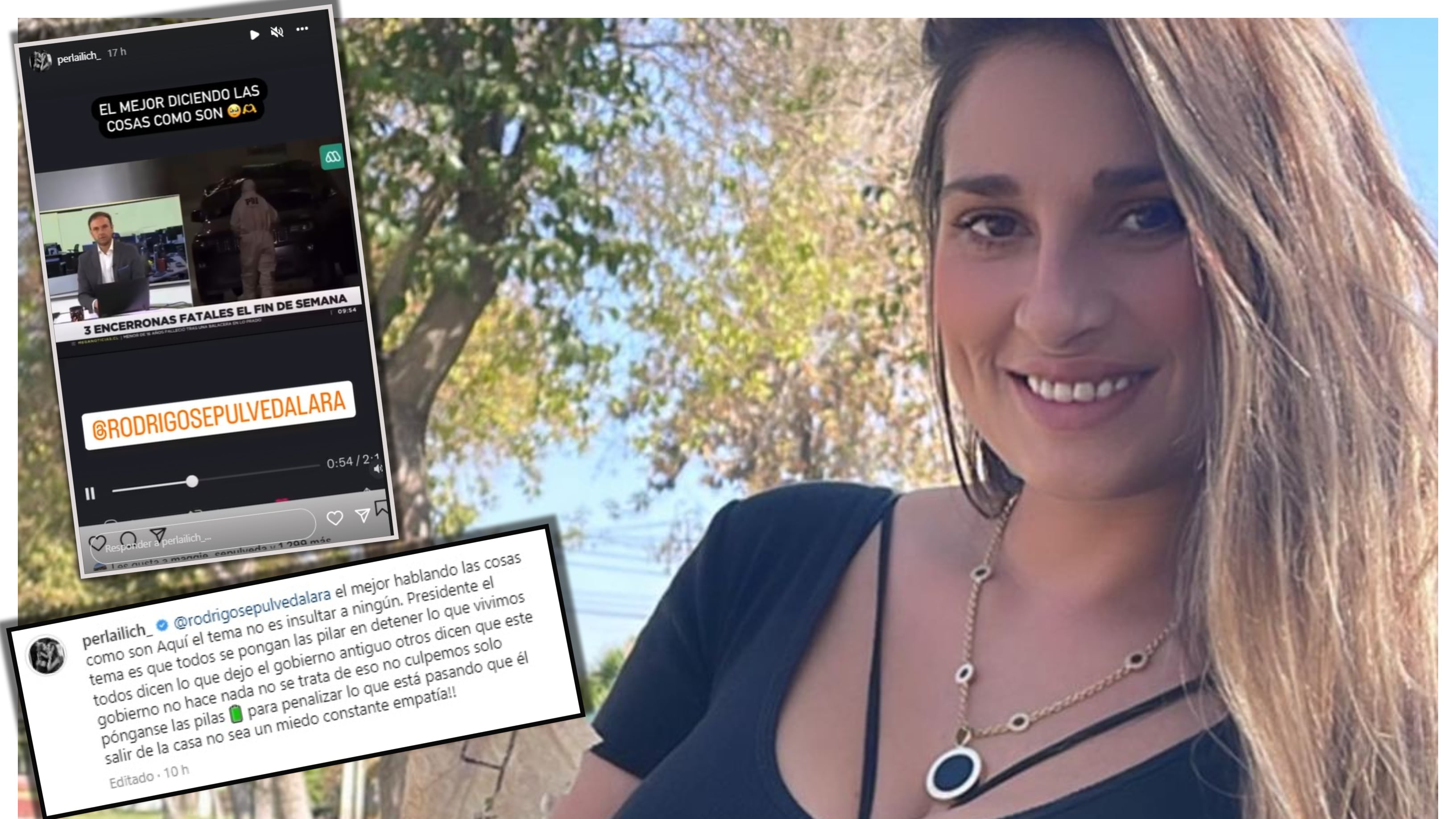 Perla Ilich se mostró a favor de las críticas de Rodrigo Sepúlveda al Presidente Gabriel Boric.