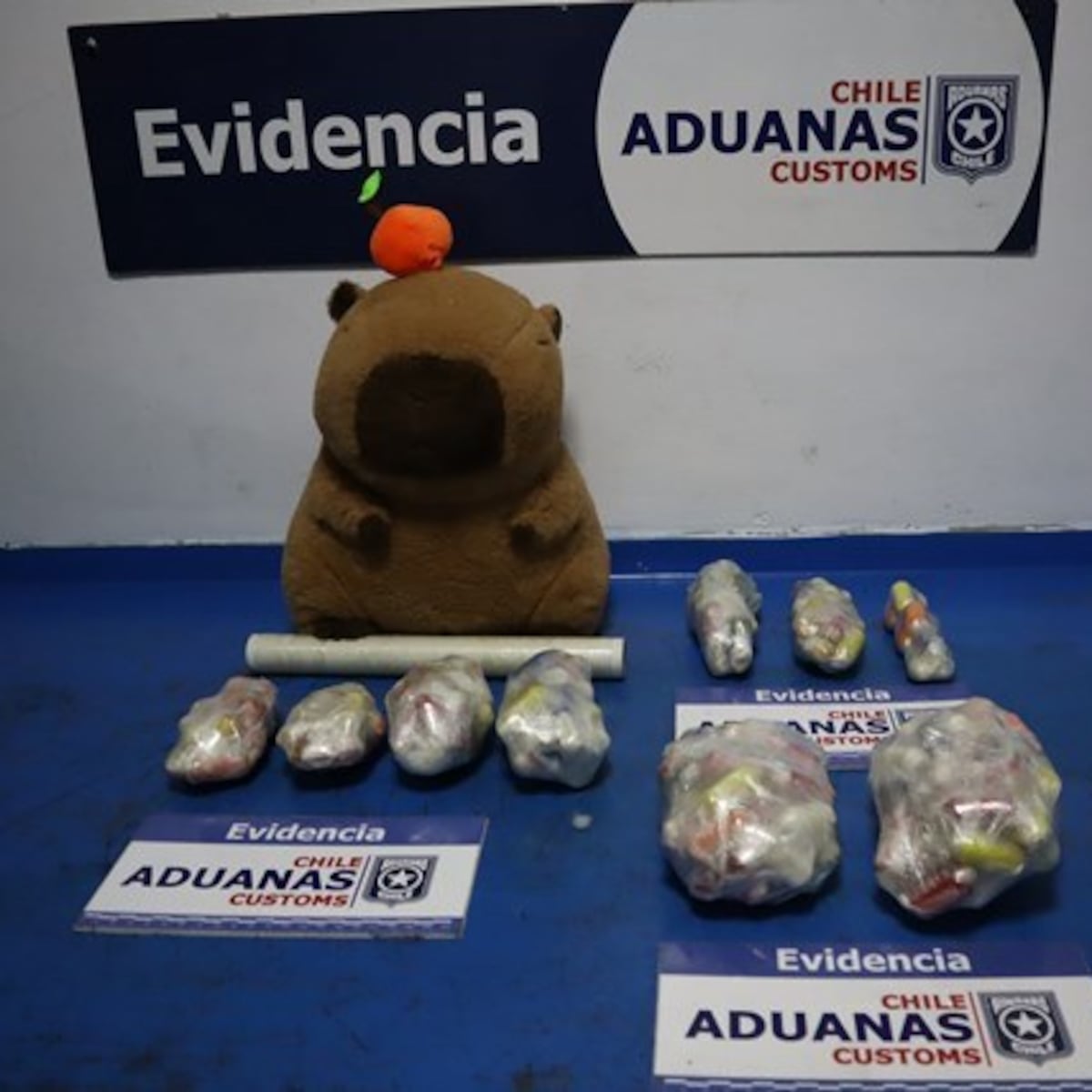 Mujer intenta contrabandear droga en peluche de capibara Mujer intenta contrabandear droga en peluche de capibara