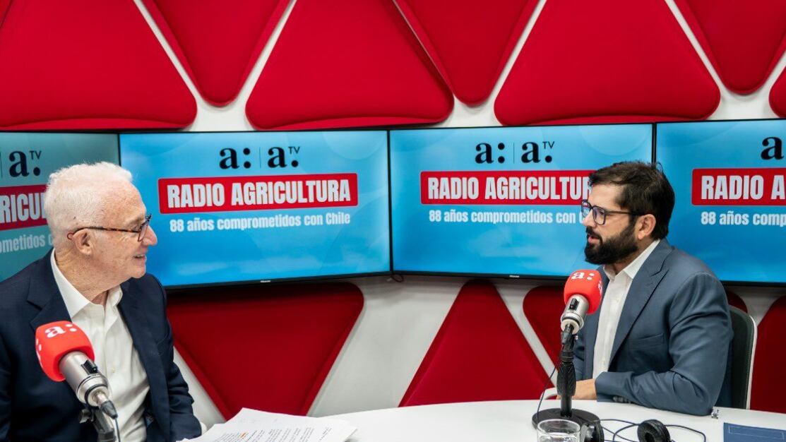 Gabriel Boric fue invitado al programa El Rompecabezas del periodista Pedro Carcuro.