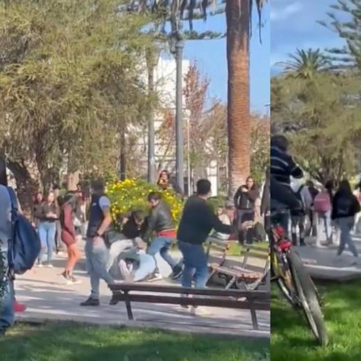 Hermanos detenidos por asesinato de estudiante en Melipilla Hermanos detenidos por asesinato de estudiante en Melipilla