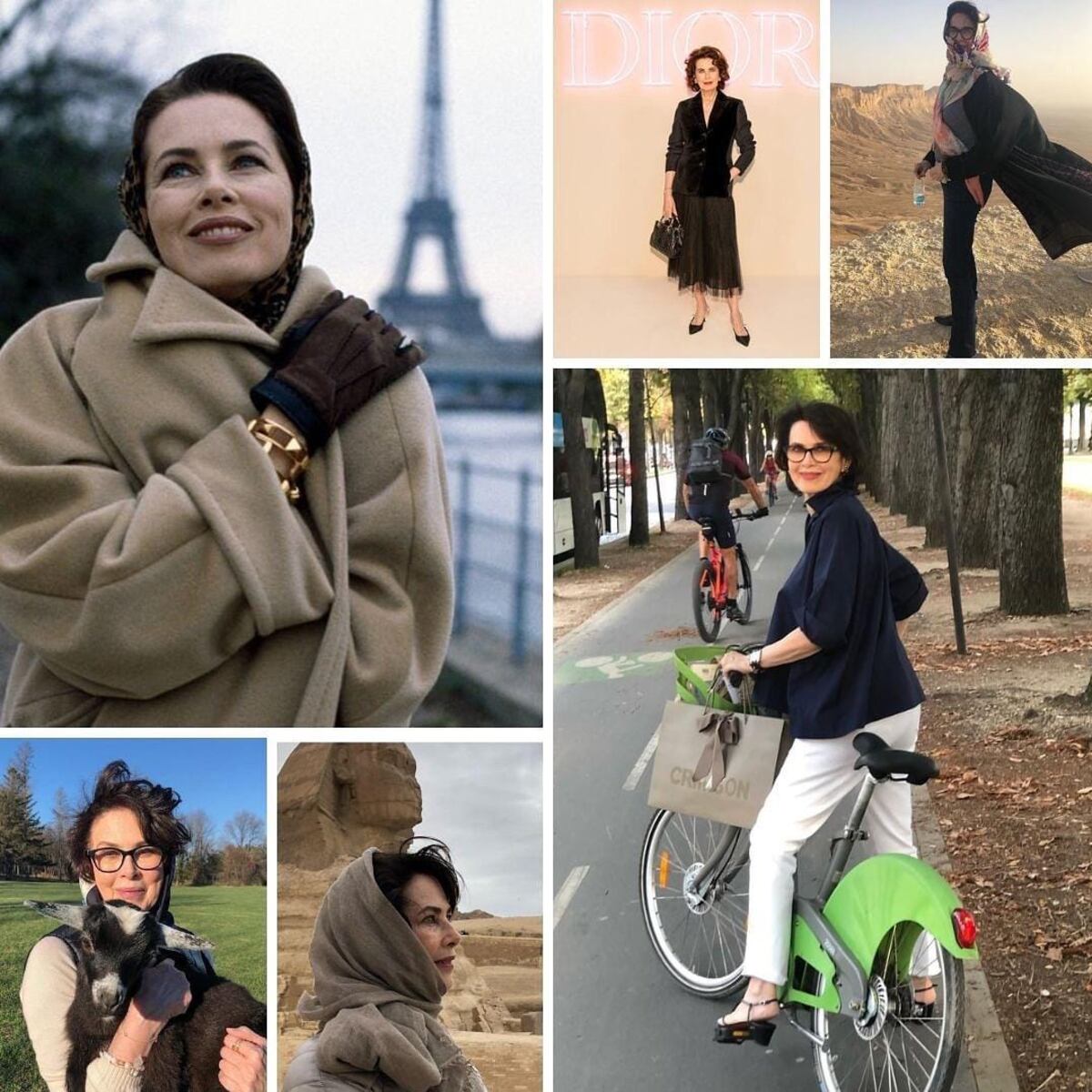 Investigan muerte de Dayle Haddon por intoxicación Investigan muerte de Dayle Haddon por intoxicación