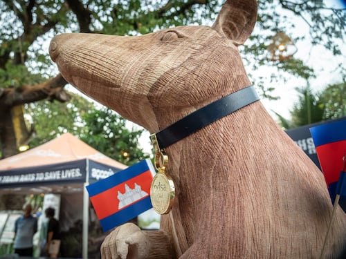La rata que salvó vidas ahora tiene su propia estatua