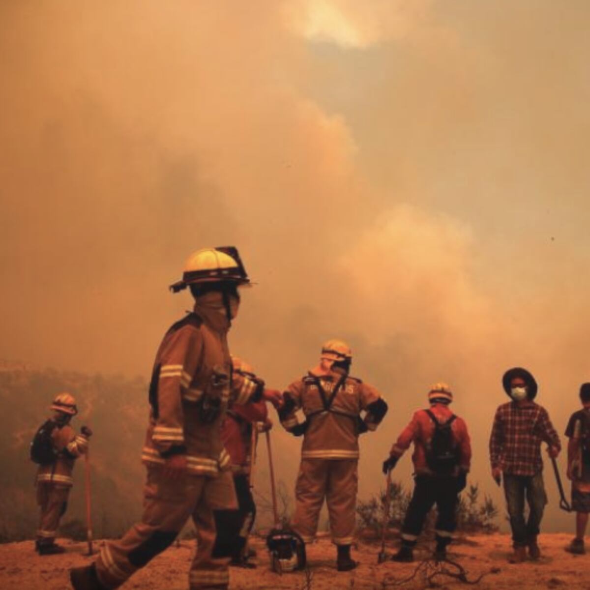 Alerta Roja en Angol por incendios forestales Alerta Roja en Angol por incendios forestales