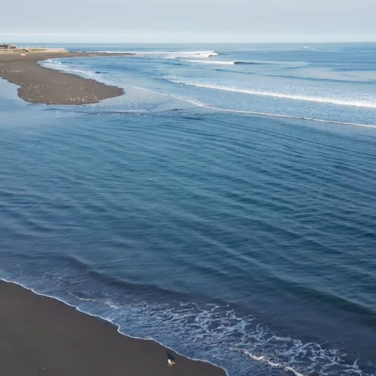 Playas de Chile más populares según encuesta Cadem Playas de Chile más populares según encuesta Cadem
