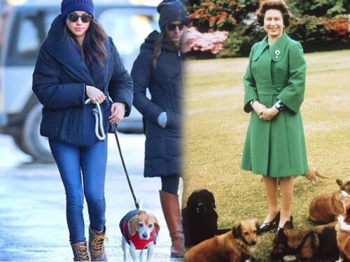 Meghan Markle comparte a su perro Guy con la reina Isabel II