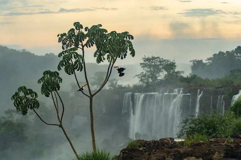 Conoce las imágenes ganadoras del Environmental Photography Award 2026, organizado por la Prince Albert II of Monaco Foundation. Foto: Magnific.