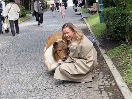 Gasta miles de dólares para convertirse en perro y su primer paseo la rompe