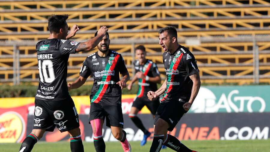 Palestino