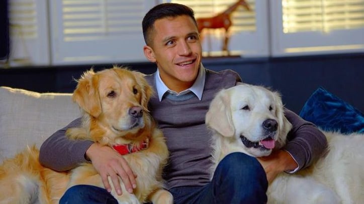 El futbolista y doglover Alexis Sánchez presentó al nuevo regalón de la casa, un cachorro que adoptó para integrarse a la mañana conformada por los Golden Retrievers Aton, Humber y las hermanitas Chapi y Laika.
Según escribió en la cuenta de Instagram @Atom&humber su nueva mascota fue el único que sobrevivió de sus ocho hermanos.